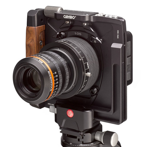 WRA-5105.2.jpg